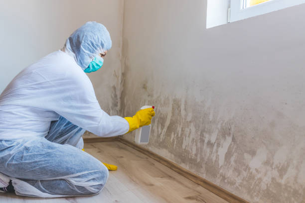 Licensed Commercial Mold Remediation service in Severna Park, MD - WQB Mold Removal