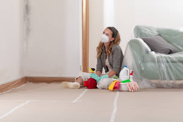 Reliable Commercial Mold Remediation contractor in Severna Park, MD by WQB Mold Removal