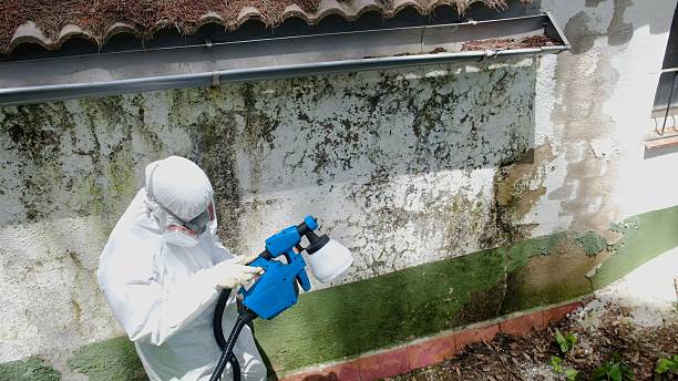 Top rated local Commercial Mold Remediation specialists in Severna Park, MD